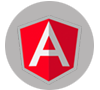 angular js Development